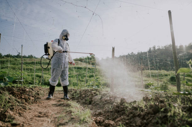 Best Mosquito Control Services  in Newcastle, OK