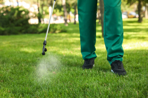 Best Termite Control Services  in Newcastle, OK